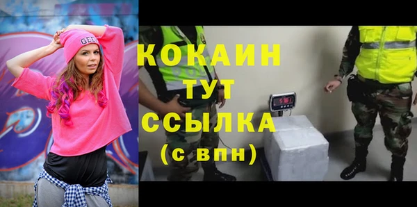 твердый Абаза