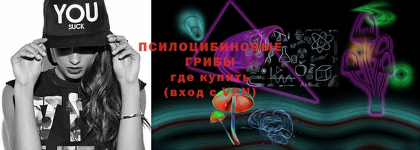 твердый Абаза