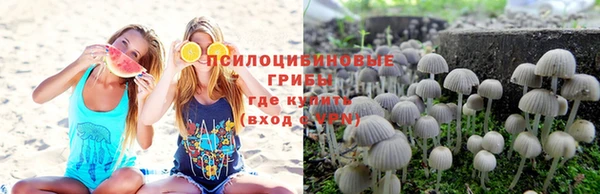 jwh Абинск