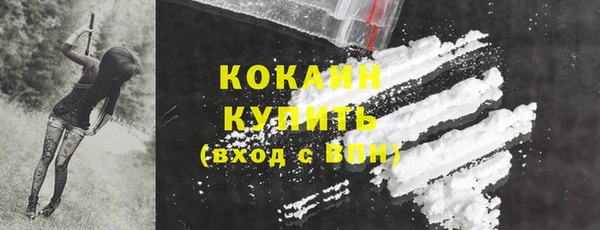 твердый Абаза
