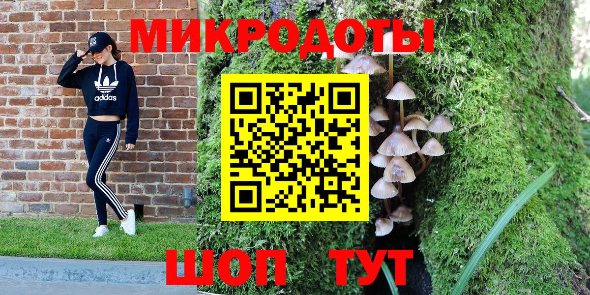 Галлюциногенные грибы мицелий Тула